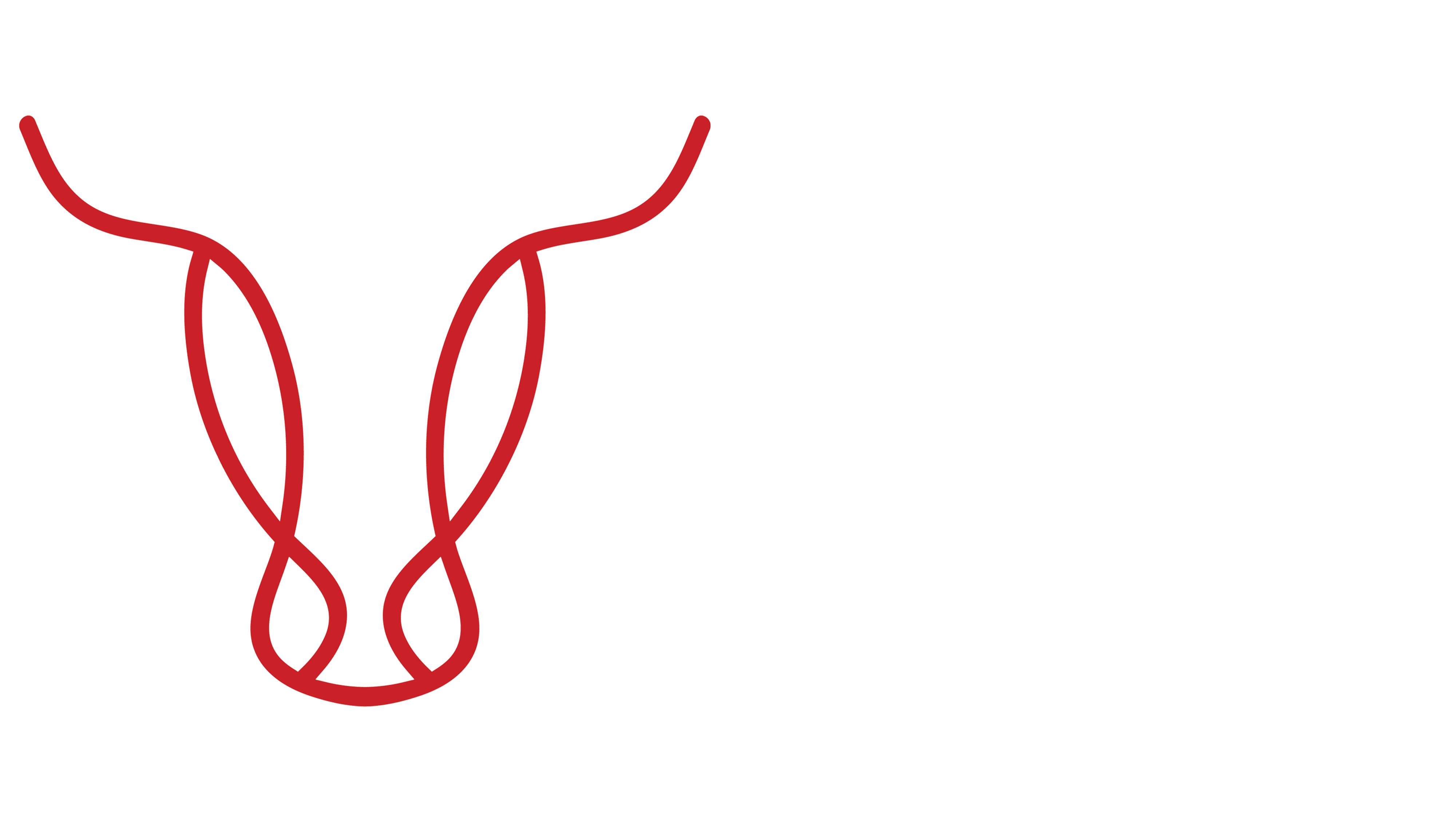 Backyard Butchers